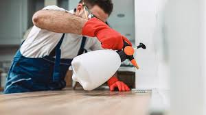 Best Real Estate Pest Inspections  in Richboro, PA