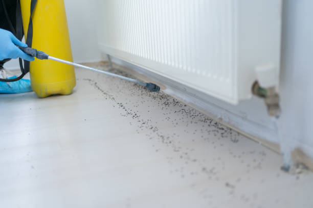 Best Pest Prevention Services  in Richboro, PA